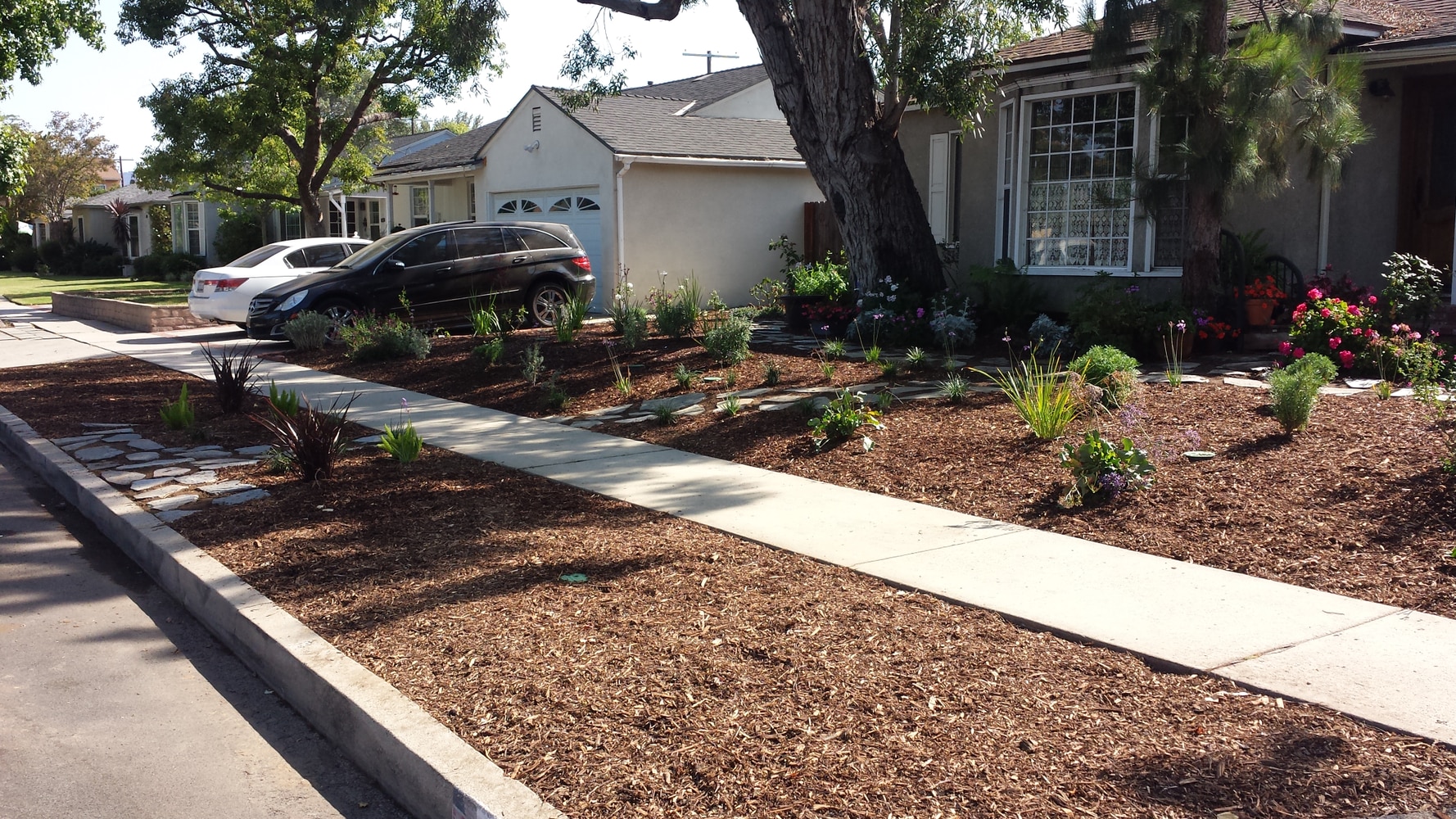 Photo(s) from Green Cali Landscape & Maintenance