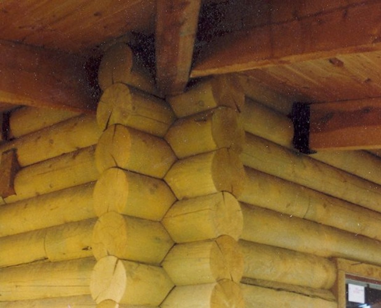 Wilderness Building Systems Project