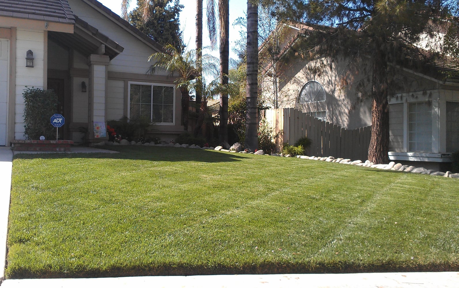 Project photos from Sure Cut Landscape Services, Inc.
