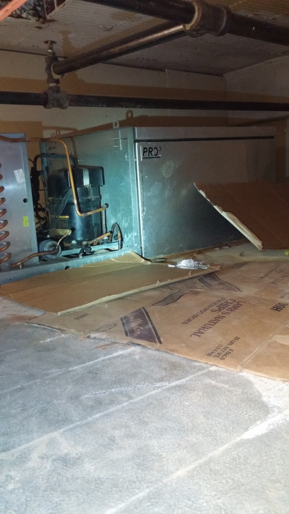 Old cooler we replaced