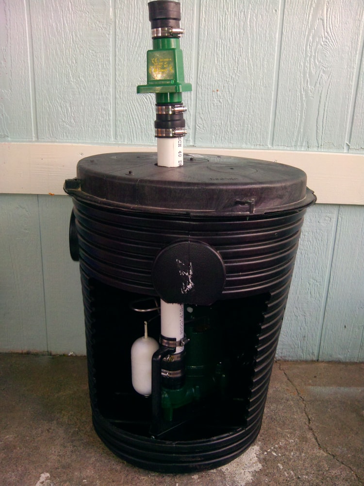 Crawlspace Specialist Project