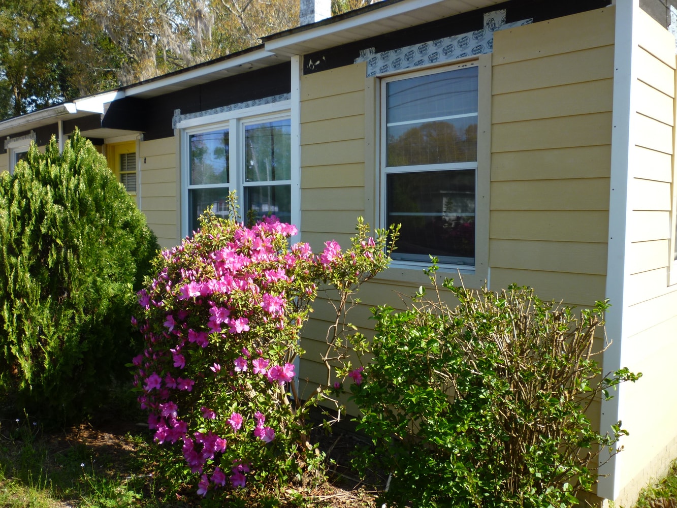 Photo(s) from T H Agram Inc