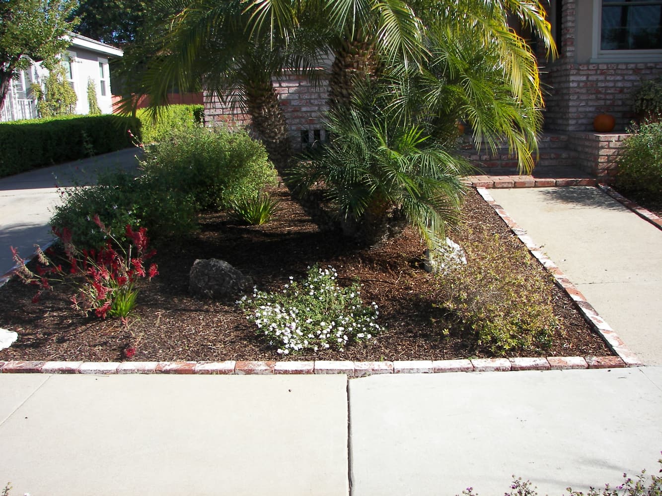 Sanchez Landscaping Services