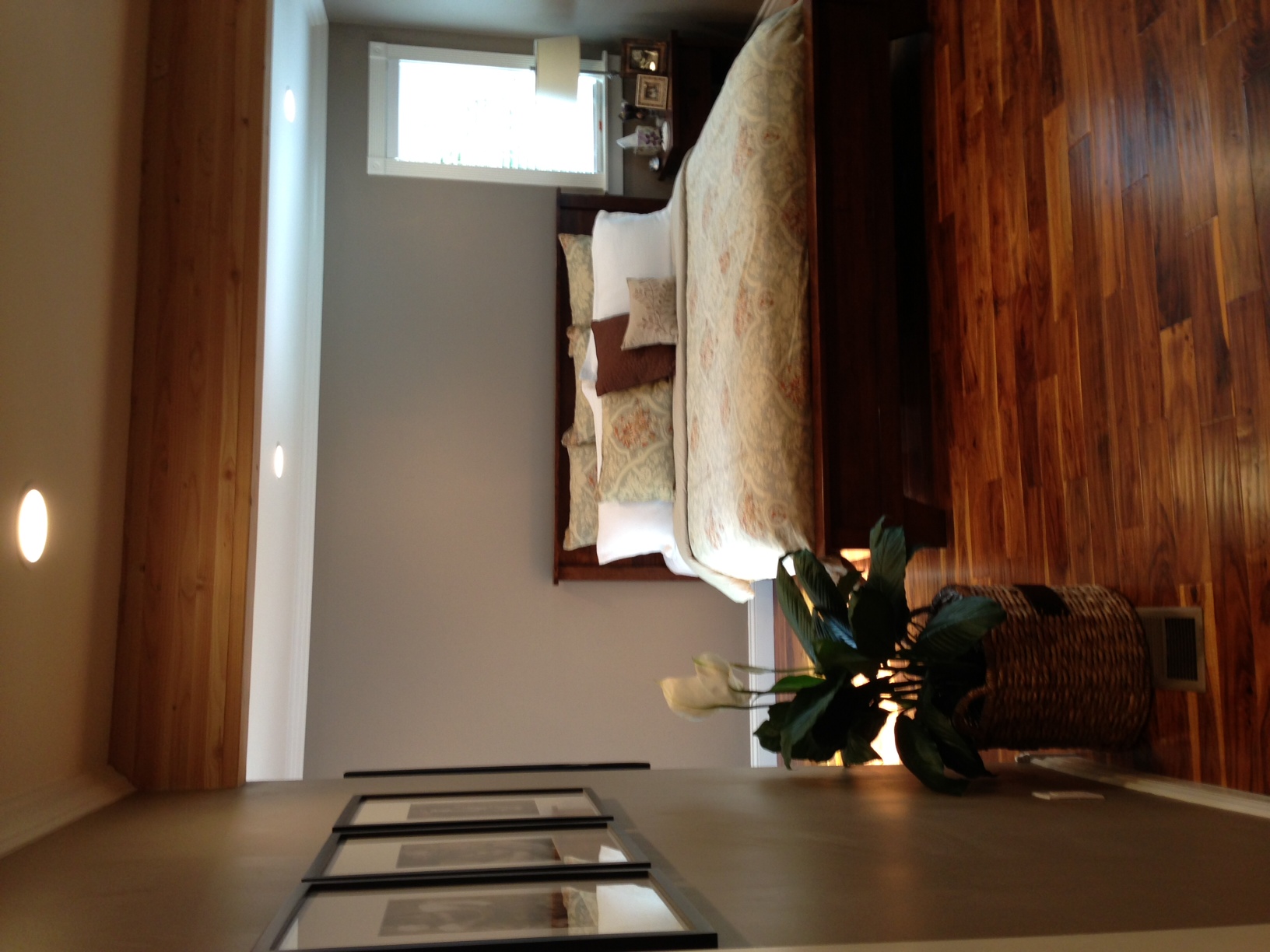 Timberwolf Construction Project