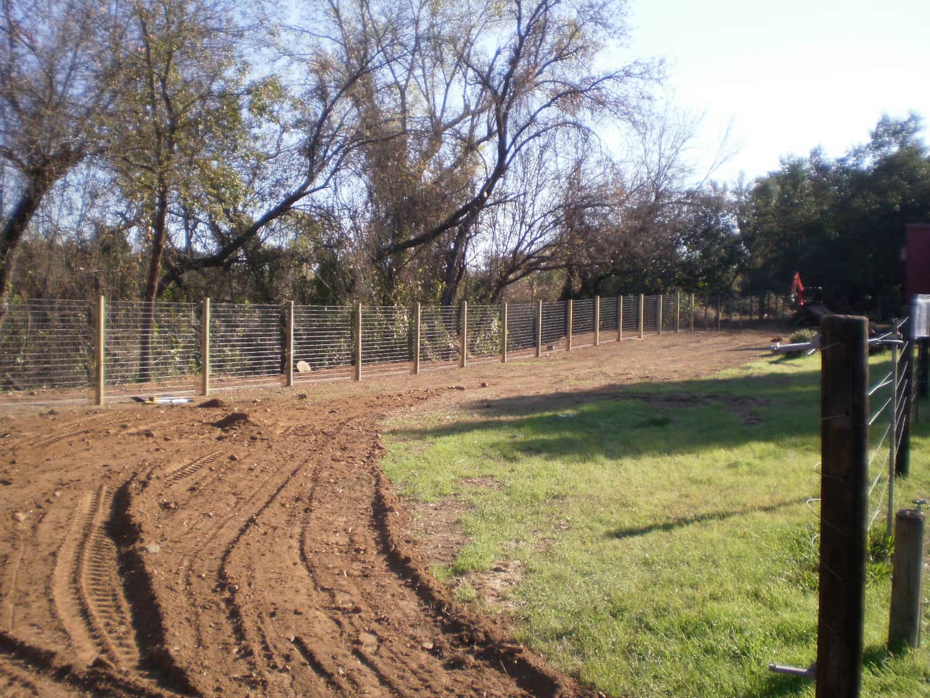 Fence Enclosure for Rescued Cats