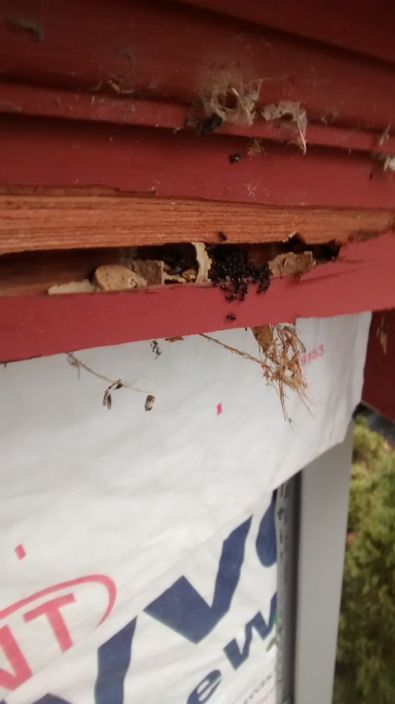 Photos from Johnson's Home Improvement