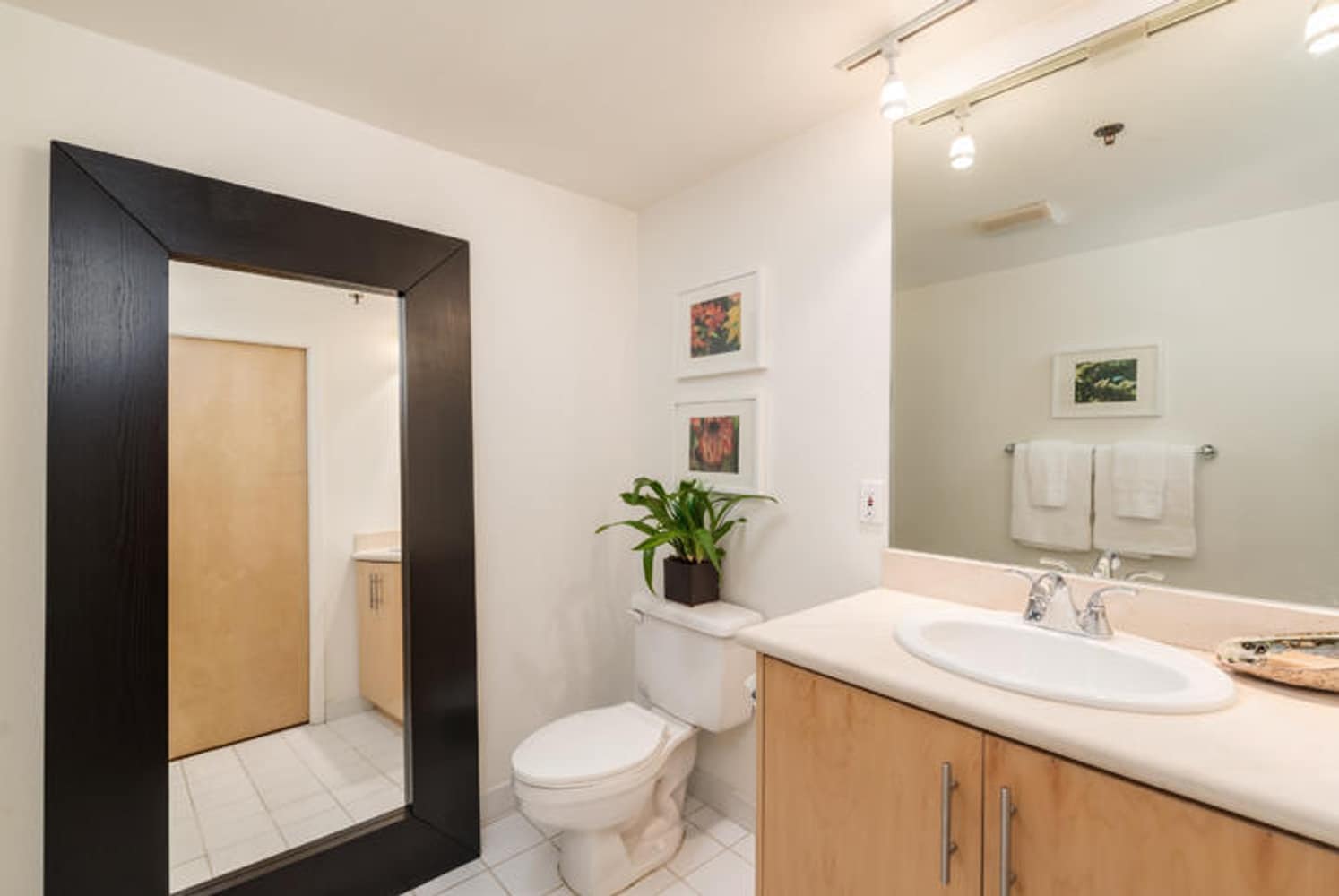 Condo Remodel in San Francisco