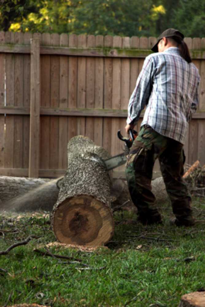 Photo(s) from Lumberjack Tree Service