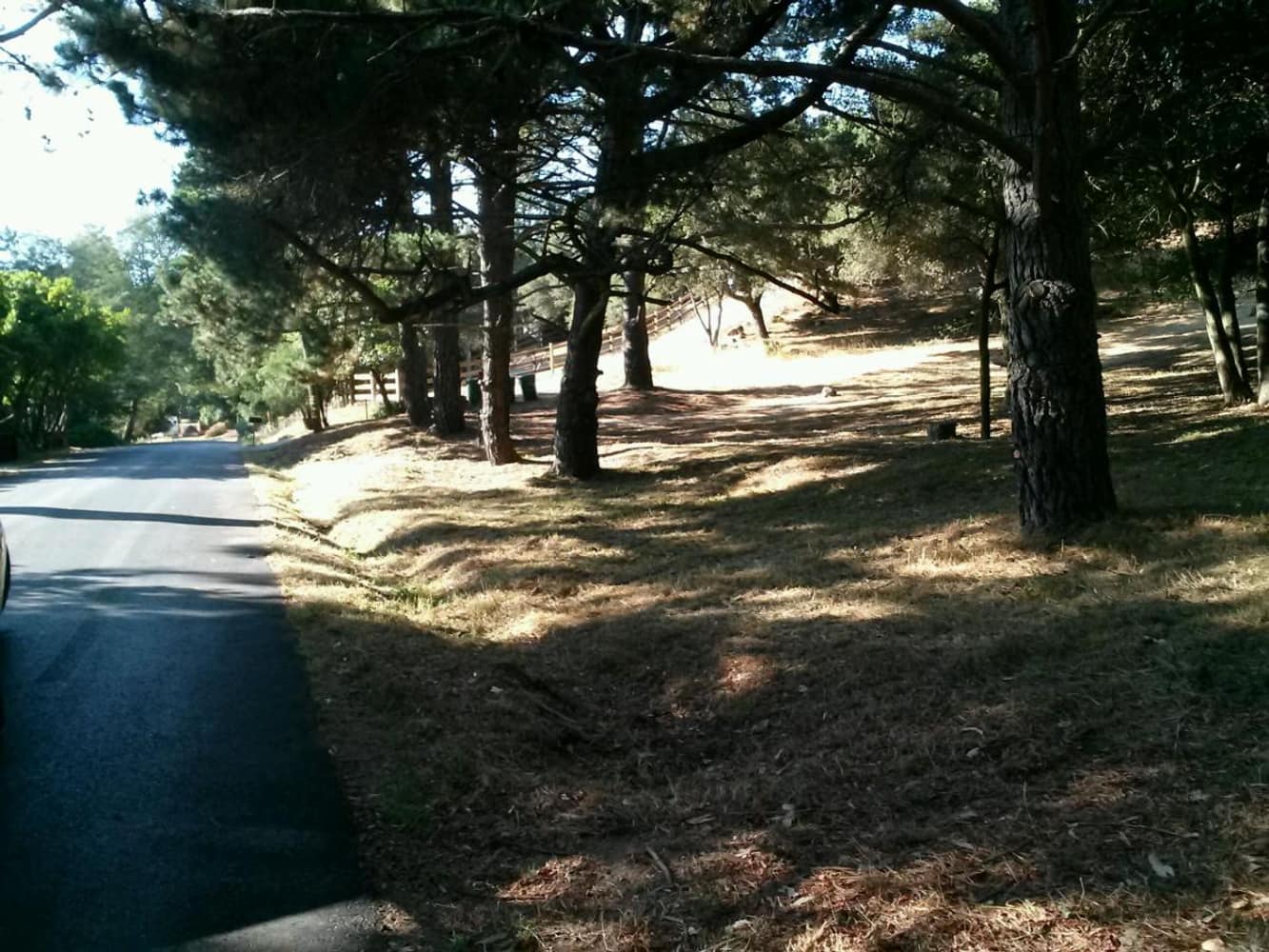 Oakland Hills Brush Clearing 