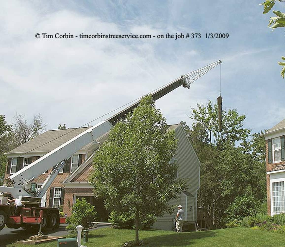 Project photos from Tim Corbin's Tree Service