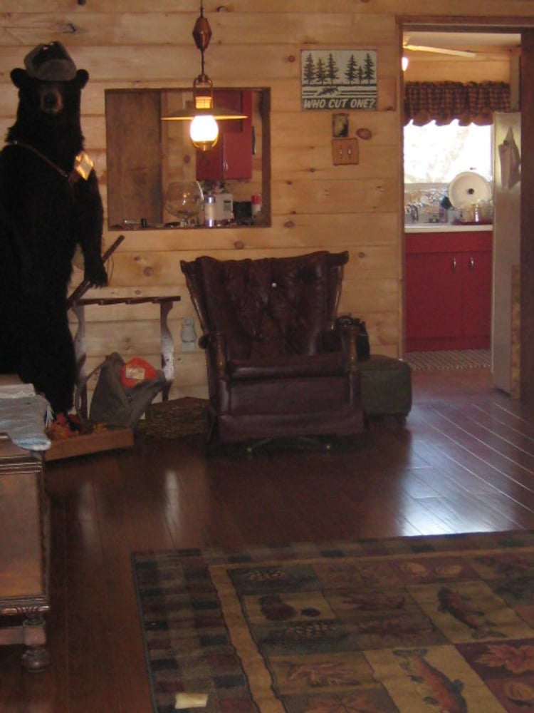 old cabin renovation