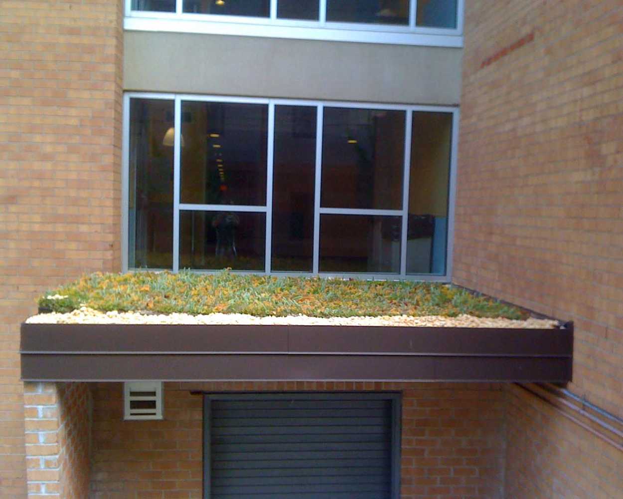 Vegetated Roofs