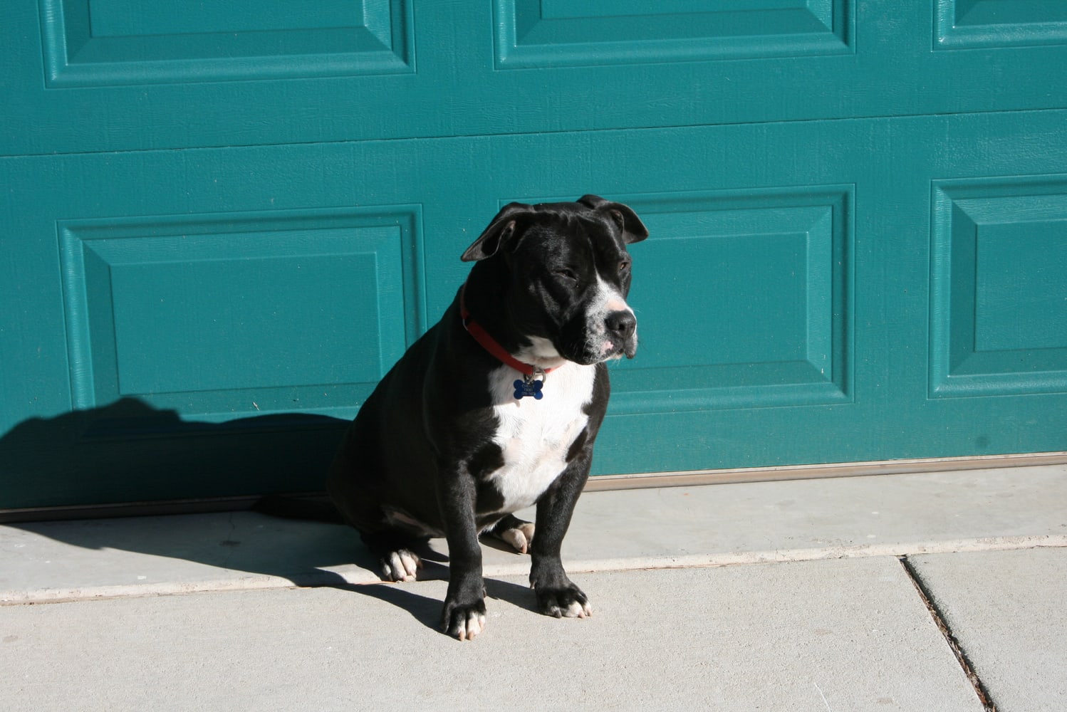 Random MFC Site Pictures