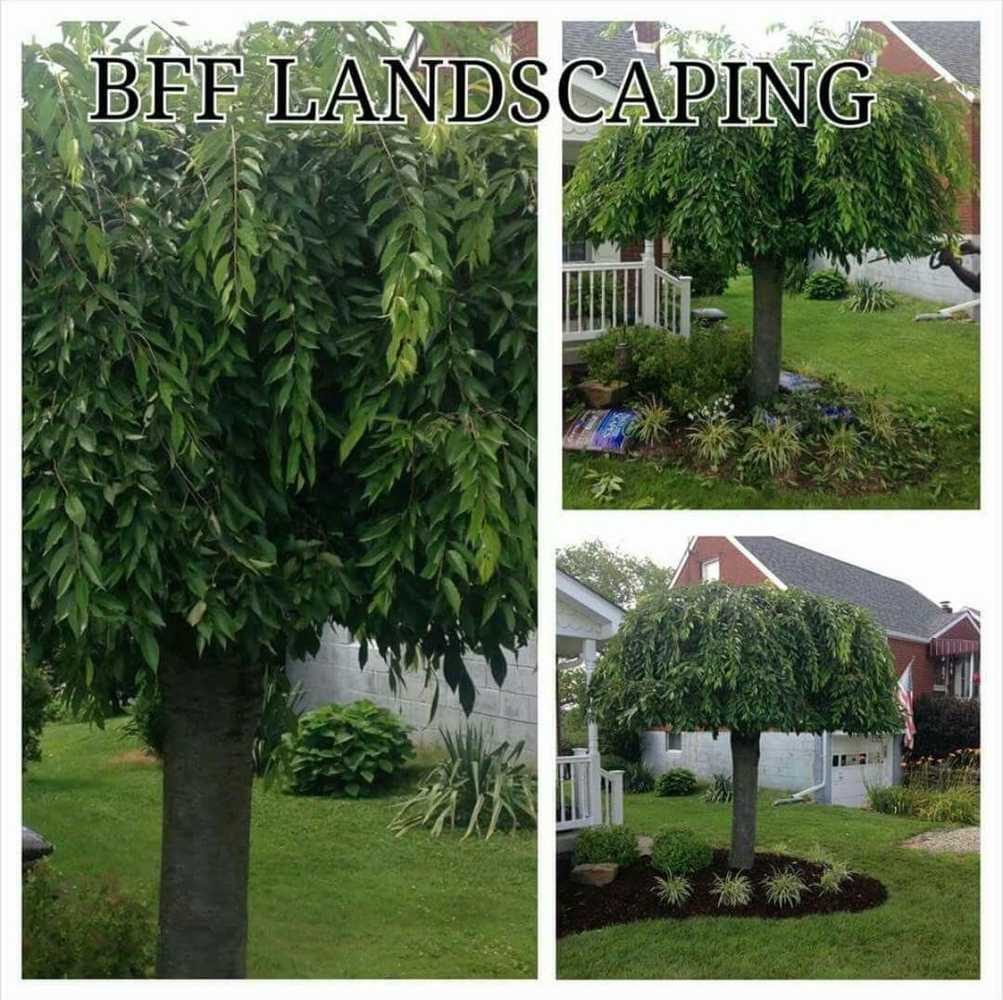 Photos from Burton Family Landscaping & Tree Specialists