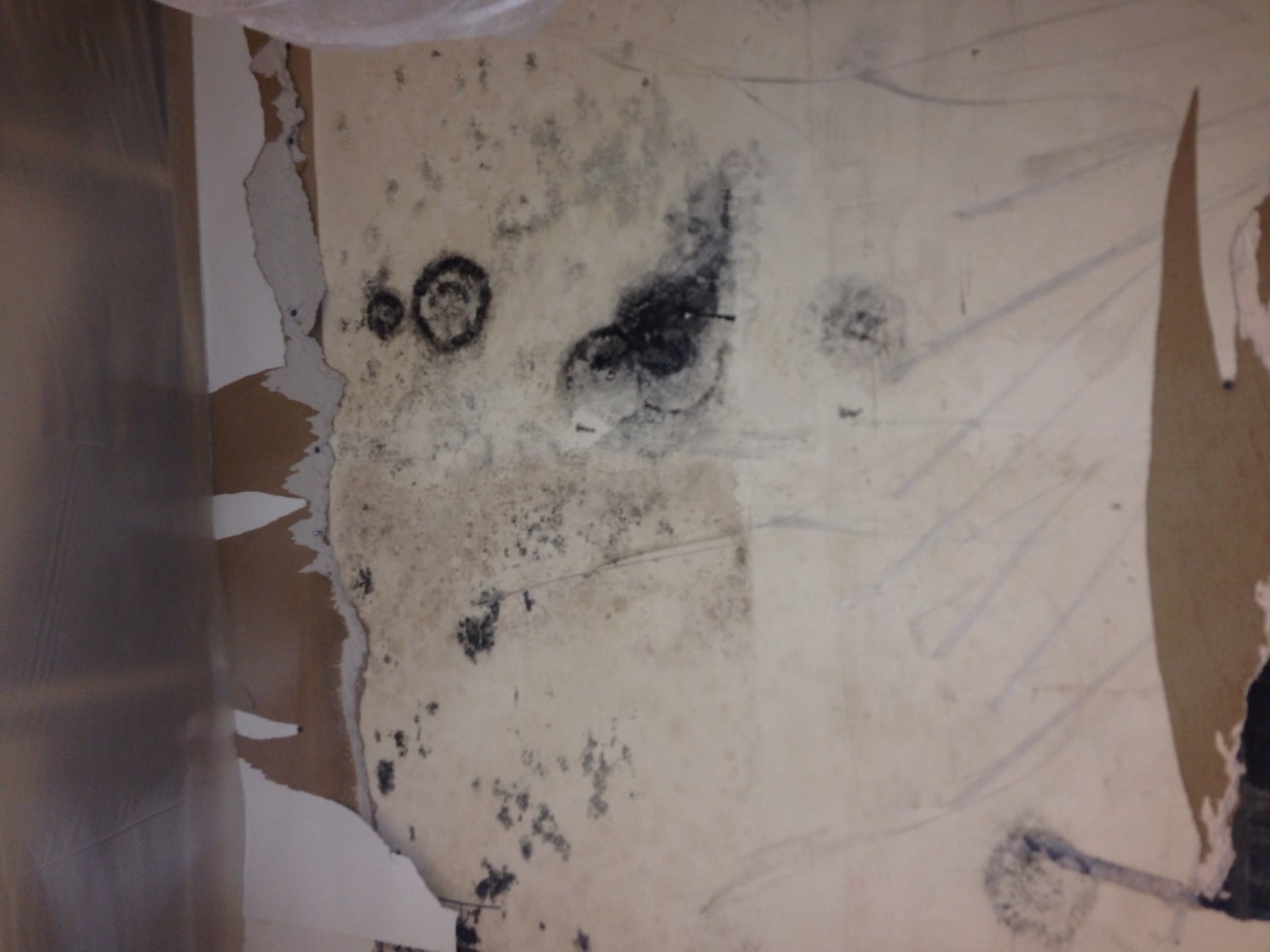 Photo(s) from MJG Construction & Demolition LLC