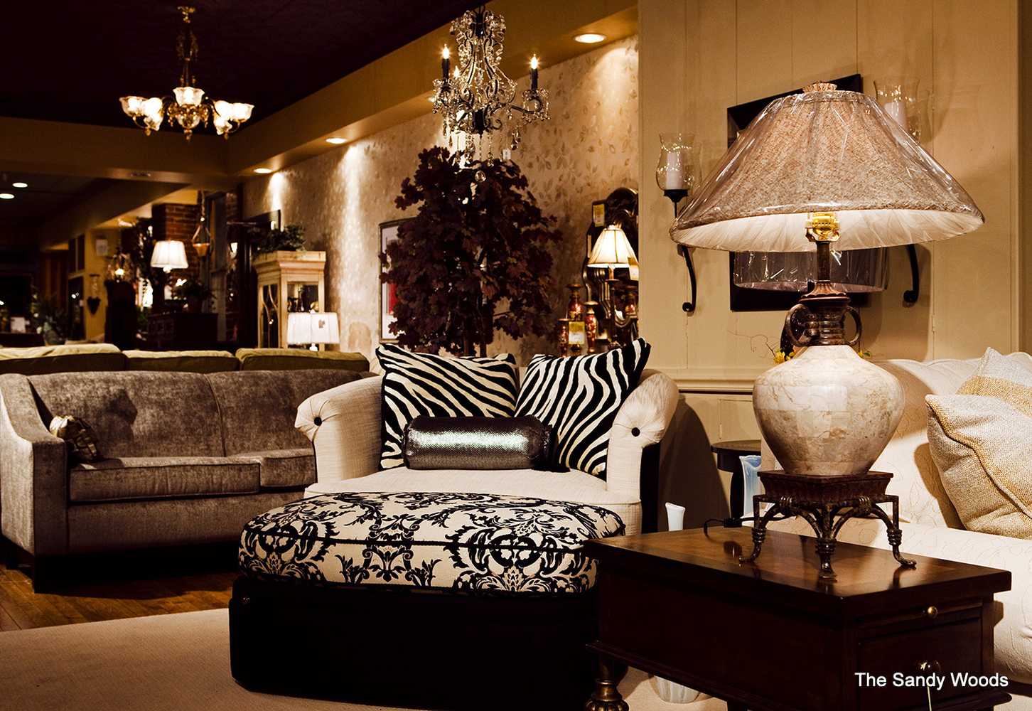 Interior Desing and Furniture Photos