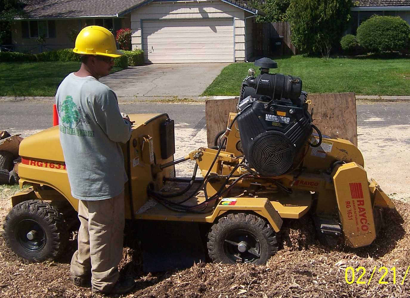 A Better Tree Service Photos