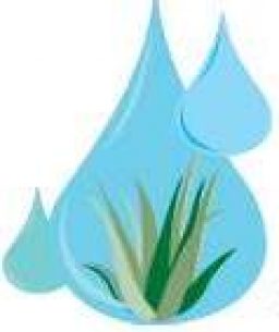 Irrigation Management Services