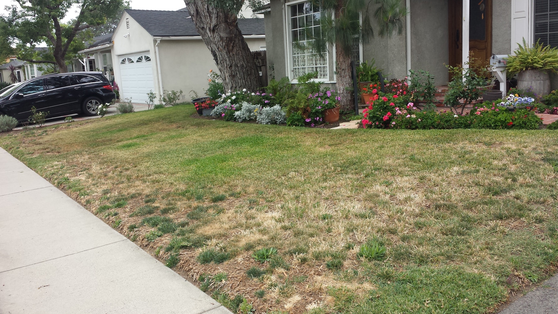 Photo(s) from Green Cali Landscape & Maintenance