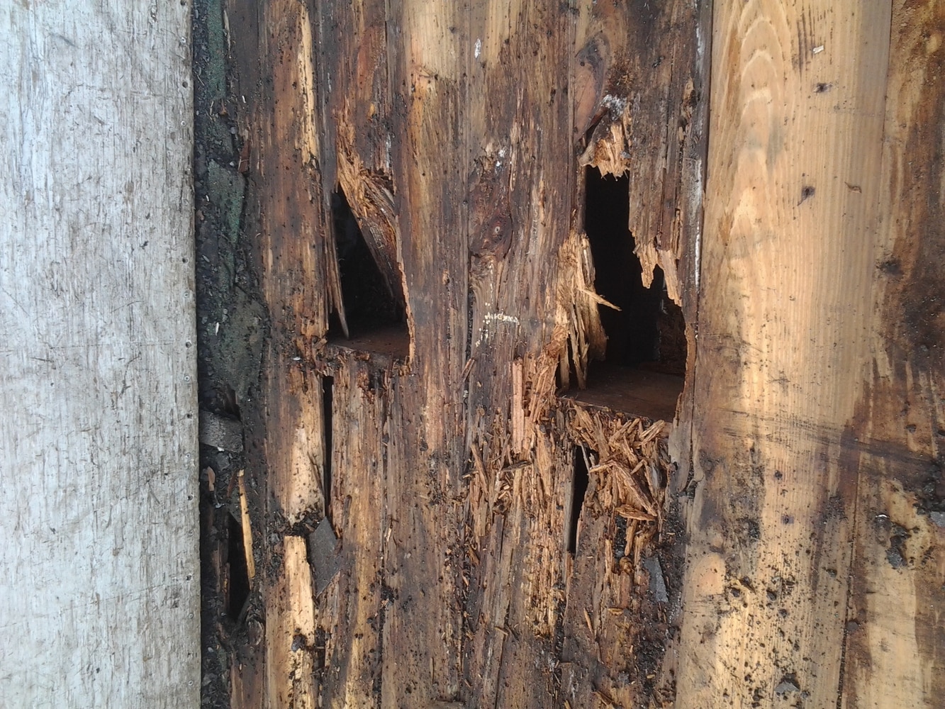 Photo(s) from Shell Shockers Home Improvements