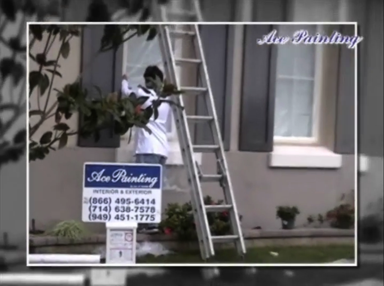 Photo(s) from Ace Quality Painting