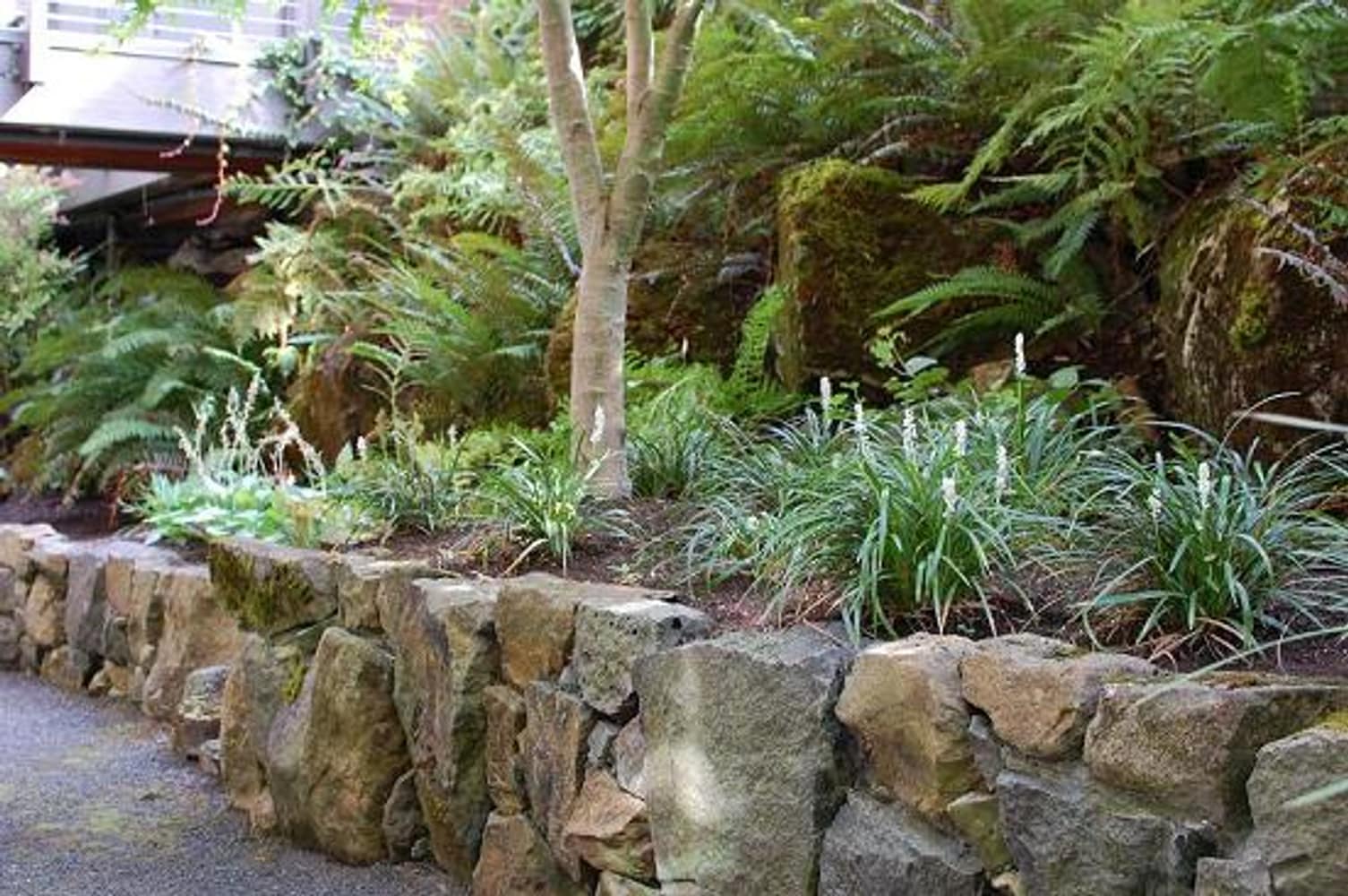Portland Landscaping Projects