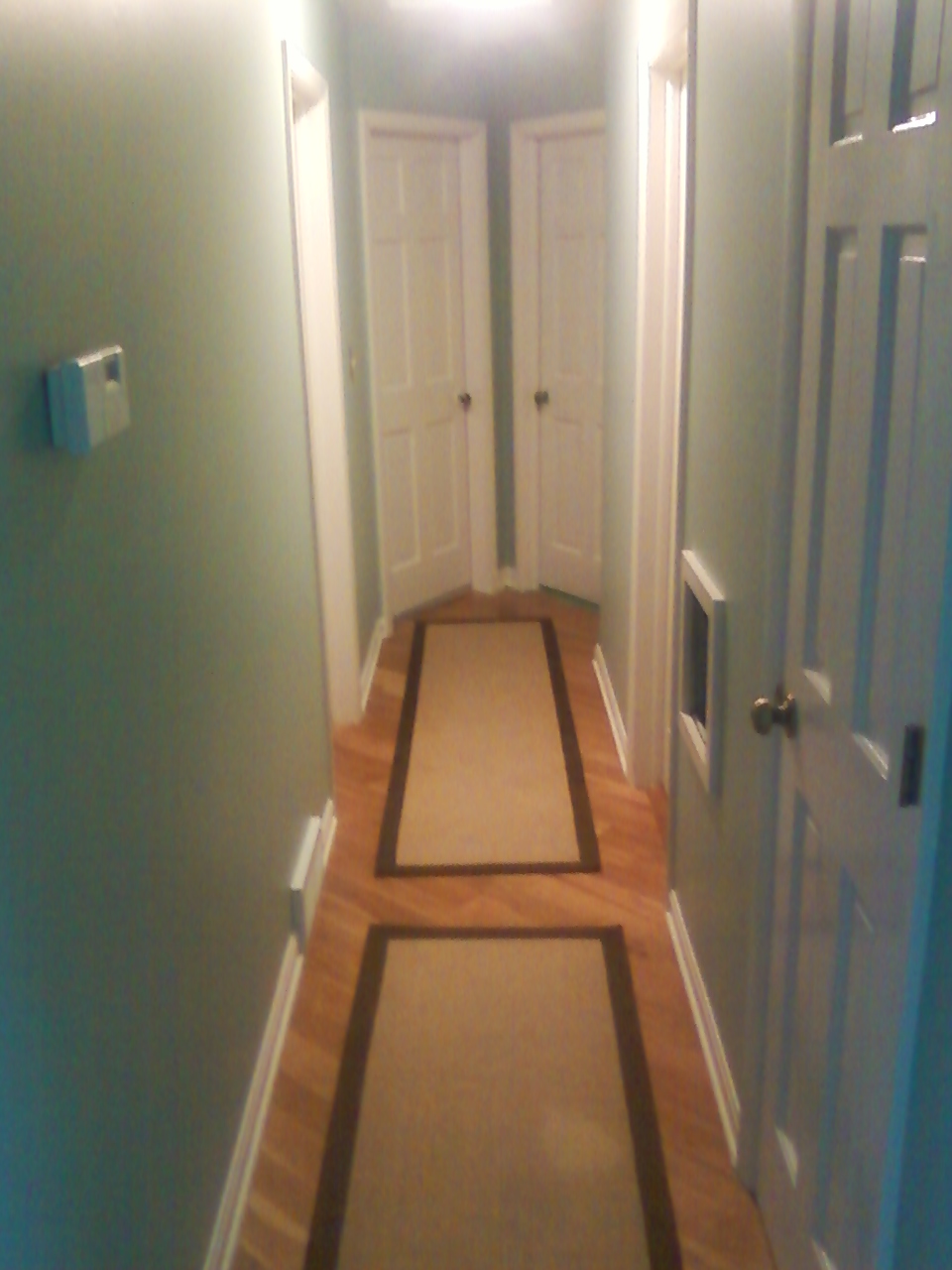 Painting Services of WI