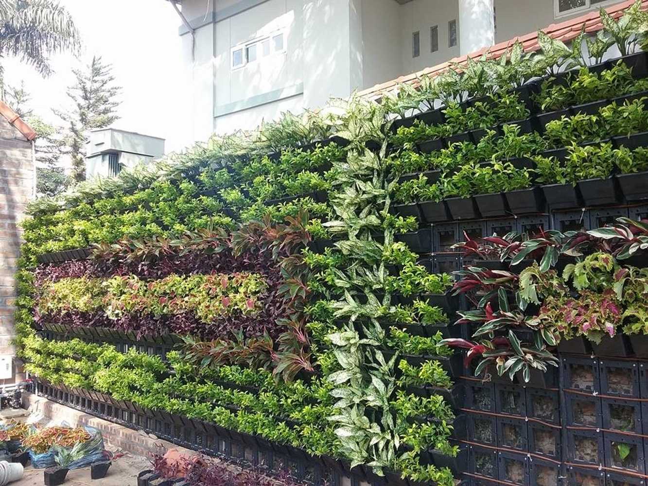 Vertical Gardens