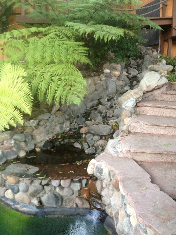 Photo(s) from Koi Masters Usa Inc