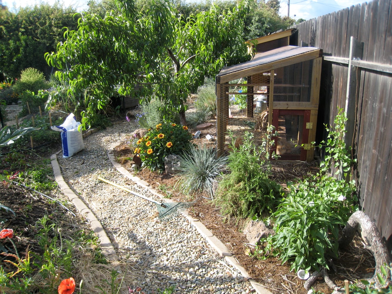 Backyard Food Production