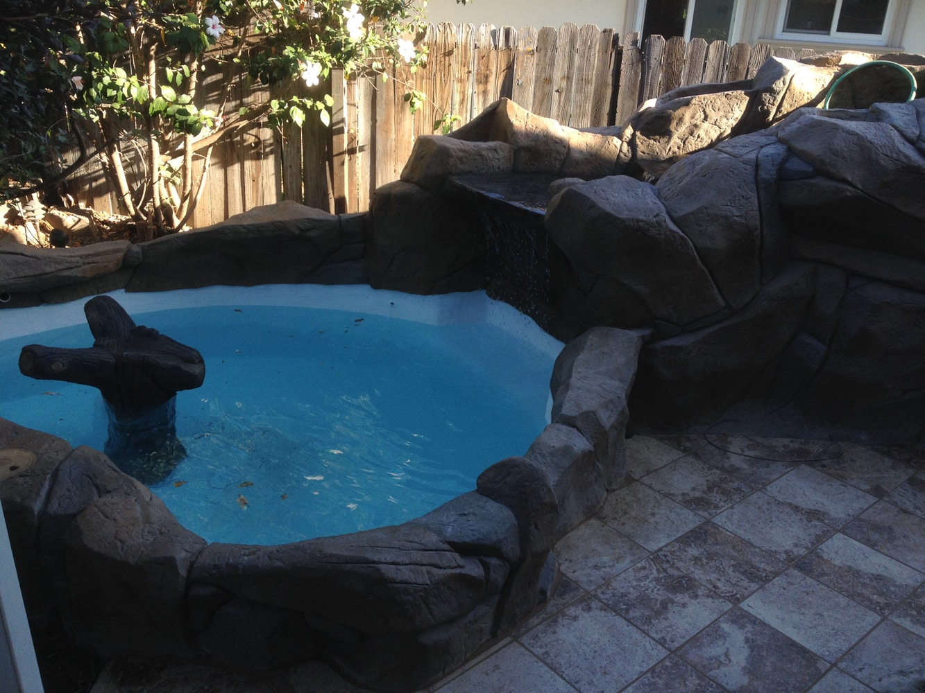 Photo(s) from Koi Masters Usa Inc