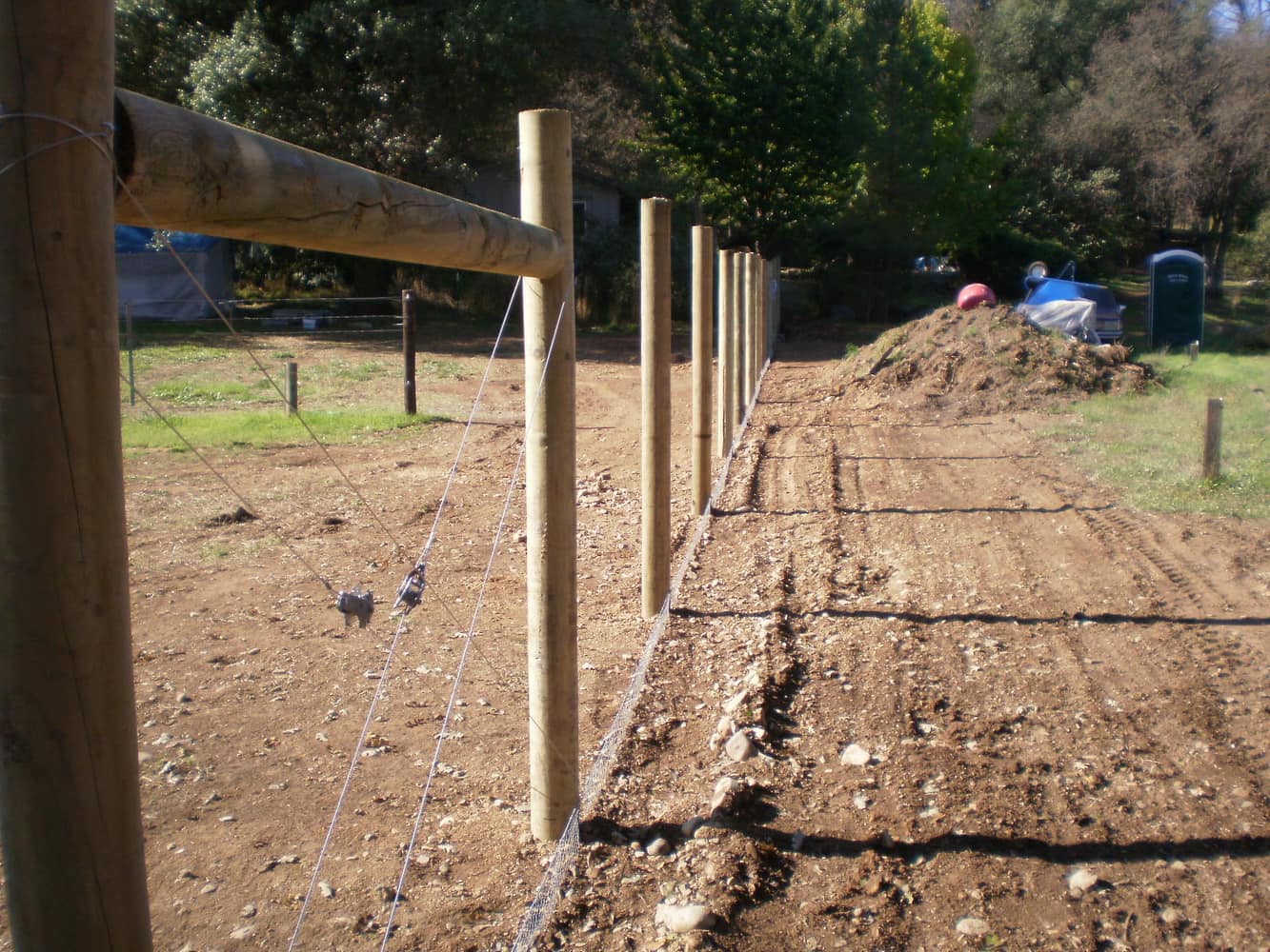 Fence Enclosure for Rescued Cats