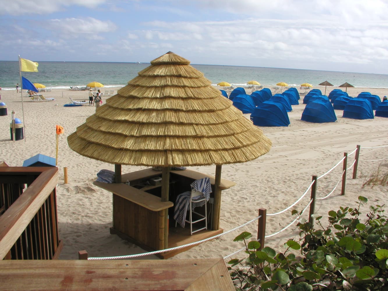 The Tiki Hut Company Portfolio