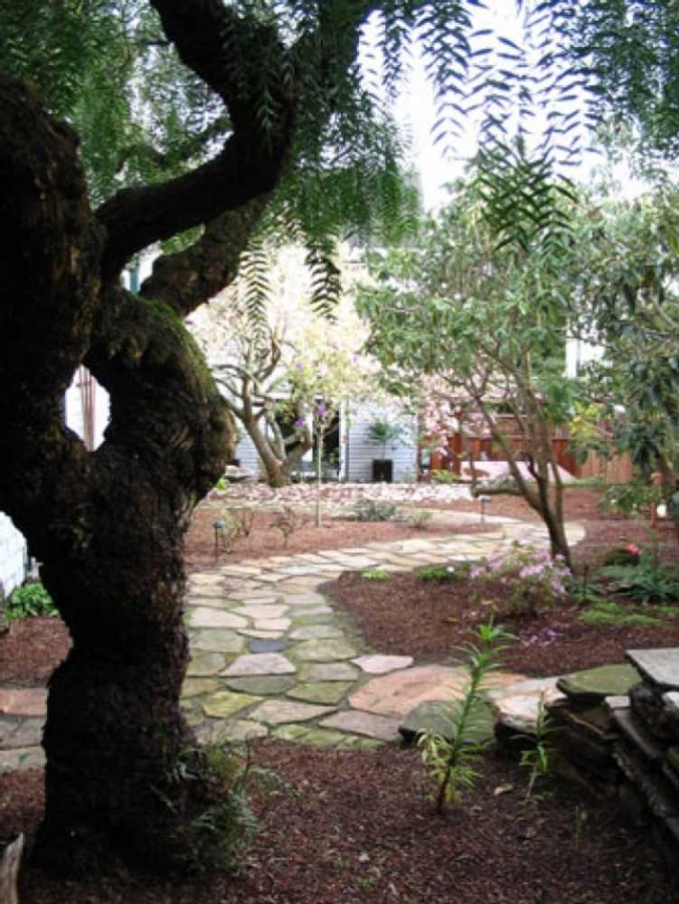 Redwood Garden