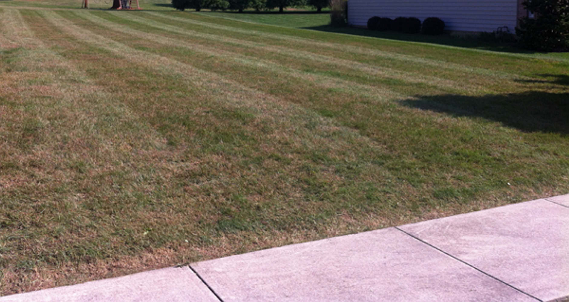 Photo(s) from Hersh Concepts Llc