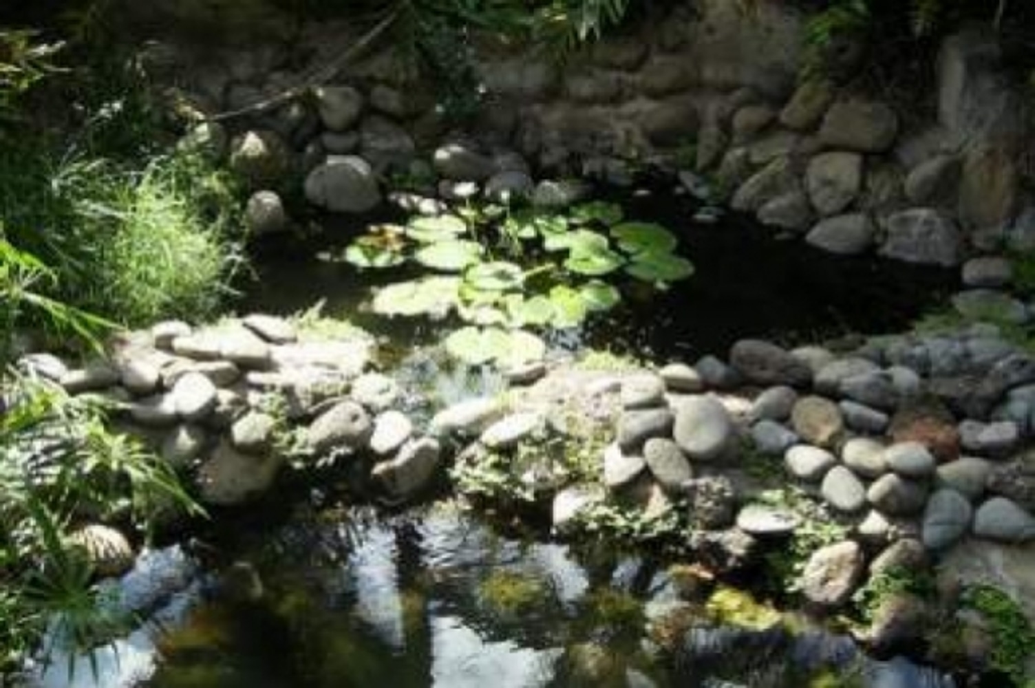 Portfolio of Water Features
