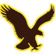 brown eagle construction