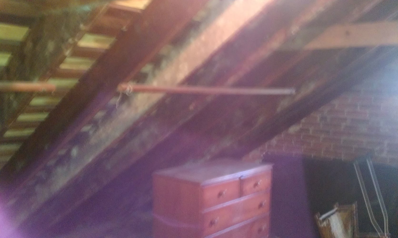 Project photos from Kauffman Property Services