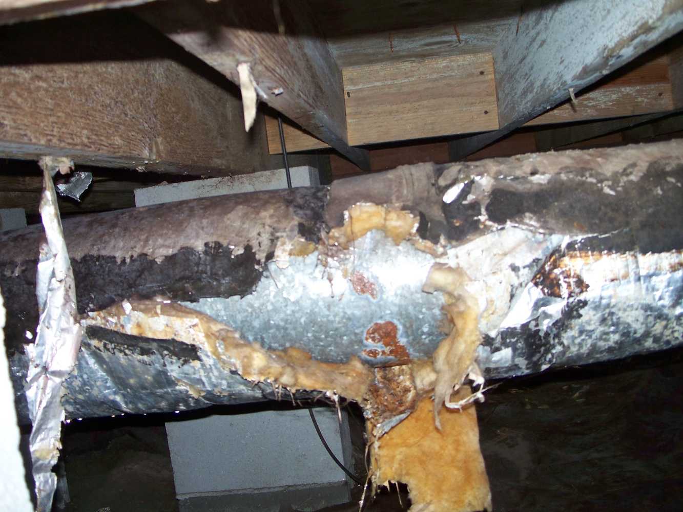 Crawlspace moisture damage- Don't let this happen to you. We can help.