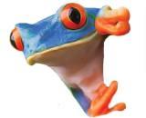 Blue Frog Construction Llc