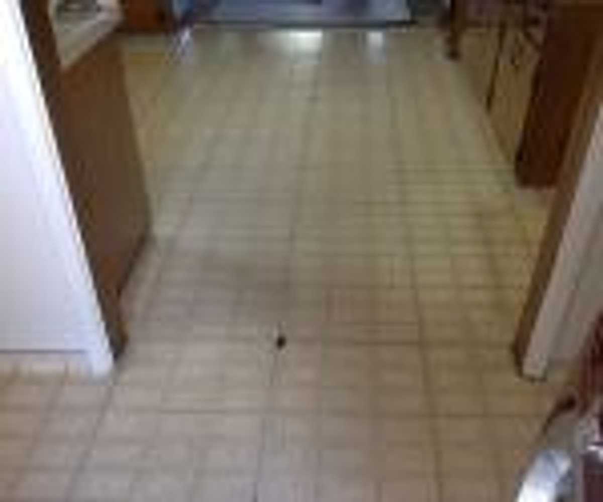 Flooring from CMS Builders And Restoration