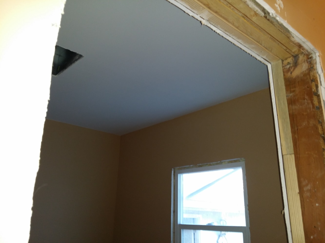 Photo(s) from Odd Job Solver