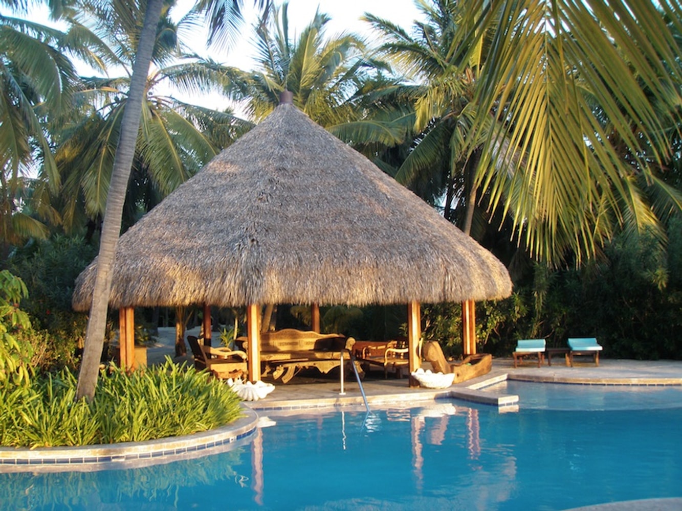 The Tiki Hut Company Portfolio