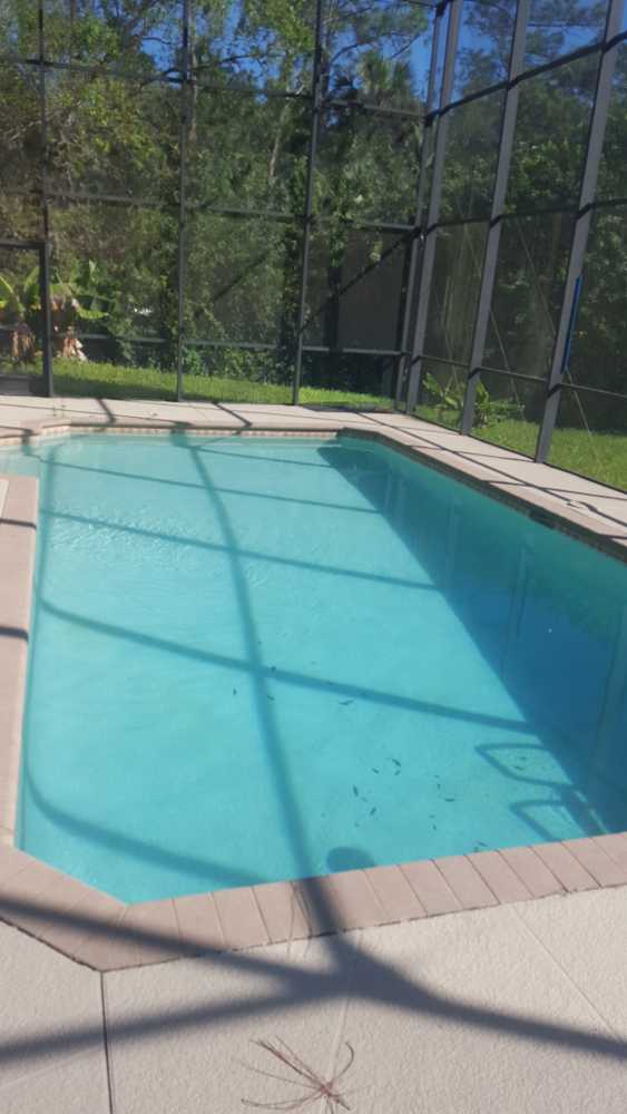 Photos from Freedom Pool Service Inc