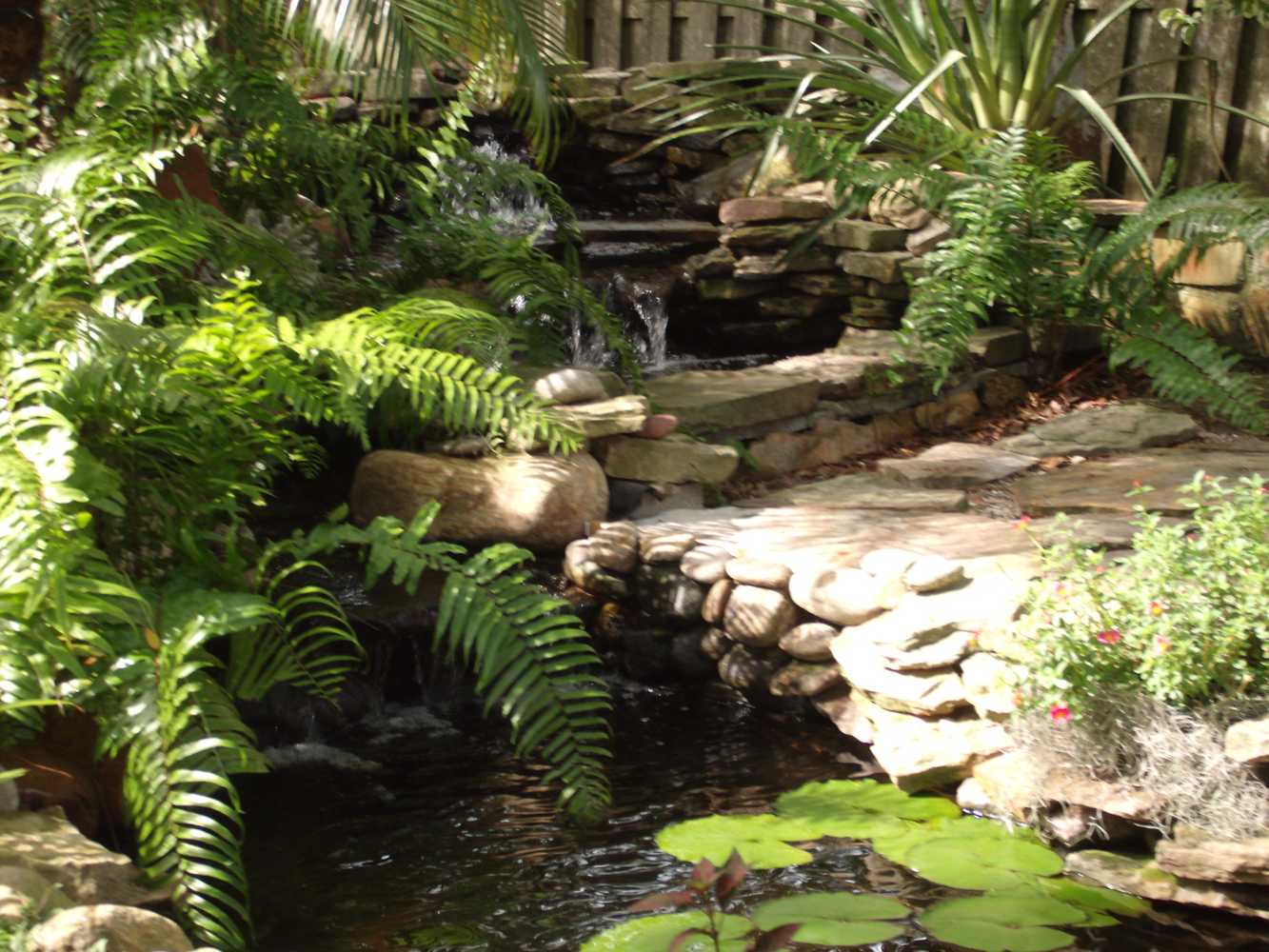 Zia Design Solutions - Landscaping