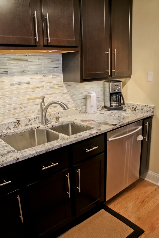 Condo Kitchen Remodel (Magnificent Mile)