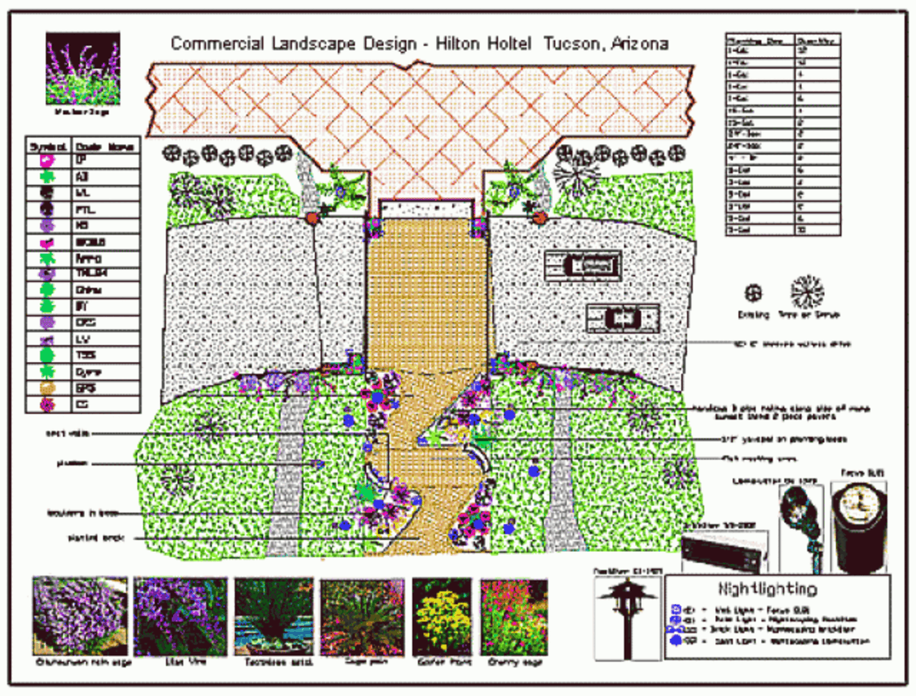Tucson Landscape Design