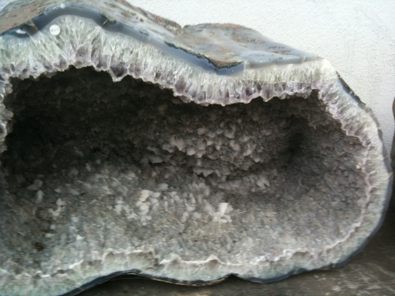 Photo(s) from Coastal Design Landscape