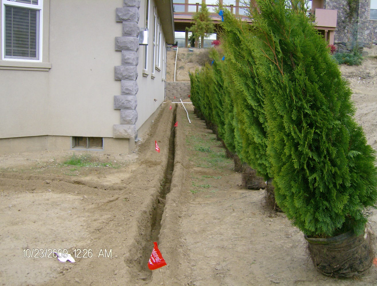 Photo(s) from A To Z Landscaping And Maint