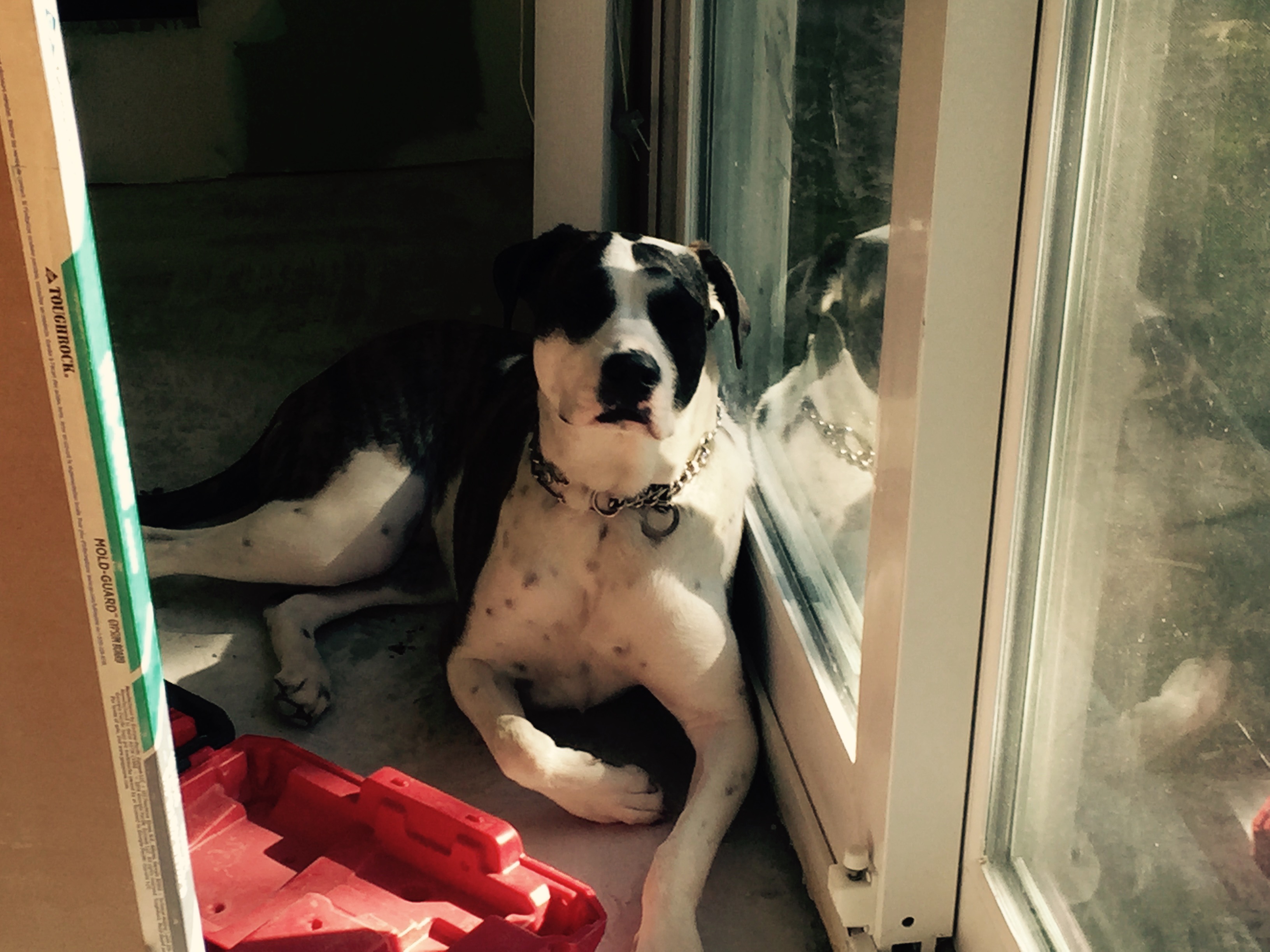 Eric j Pohlmeyer licensed electrician